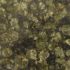baltic_green490x400.jpg